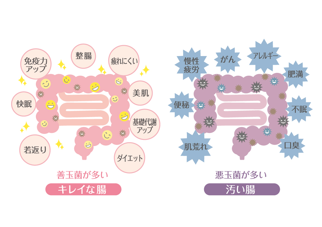 コロナに負けない免疫力を！