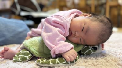 家族が増えました